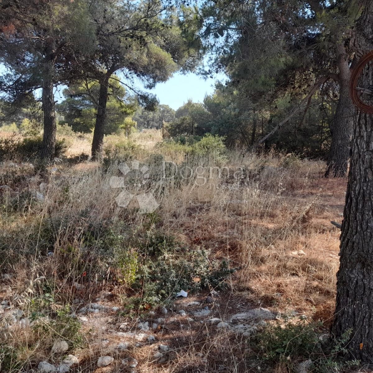 Terreno In vendita - ZADARSKA  BIOGRAD NA MORU 