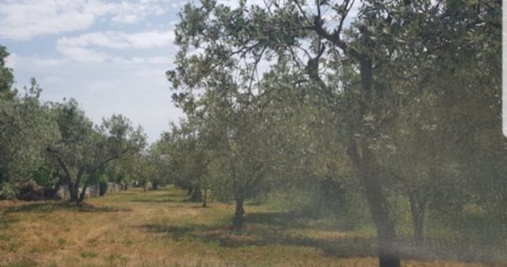 Terreno in vendita 2370 m² – Kavran