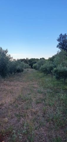 Grundstück zu verkaufen 6300 m² – Kavran