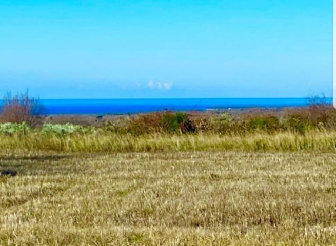 Land for sale 10107 m² – Vodnjan