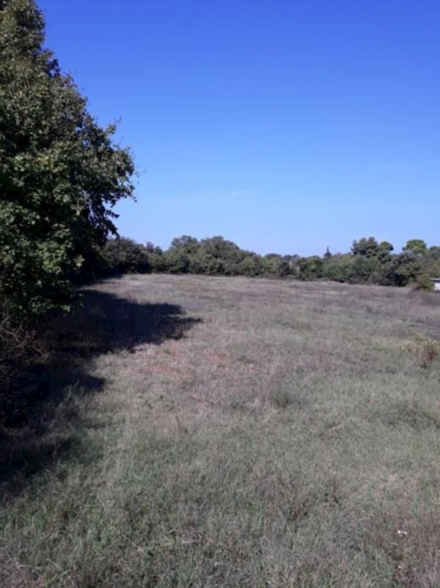 Land For sale - ISTARSKA  PULA 