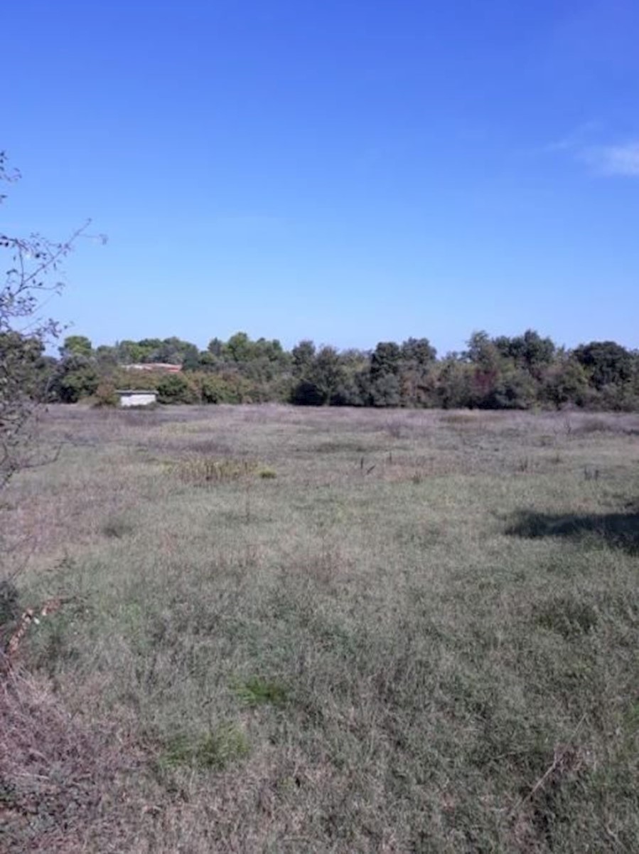 Land For sale - ISTARSKA  PULA 