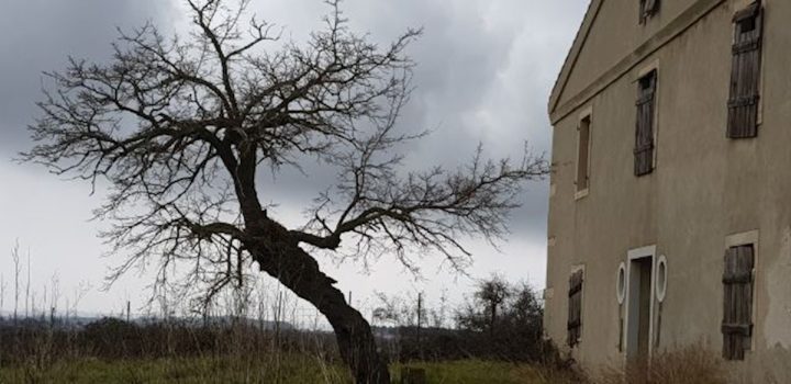 Casa In vendita - Istarska Medulin - foto 4/5
