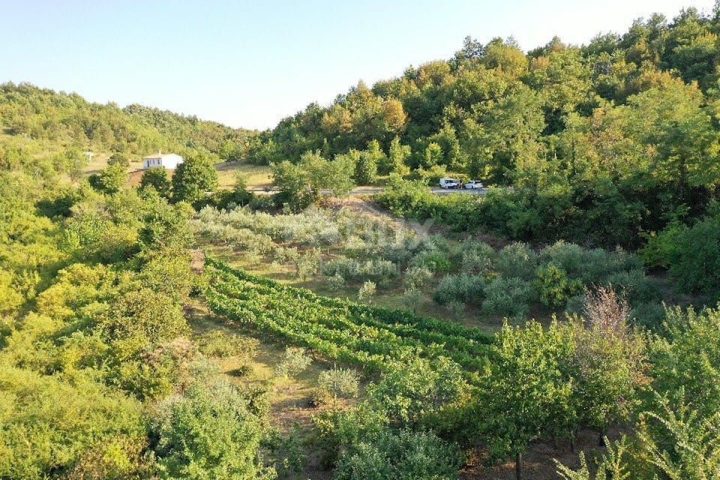Zemljište na prodaju 4067 m² – Gračišće