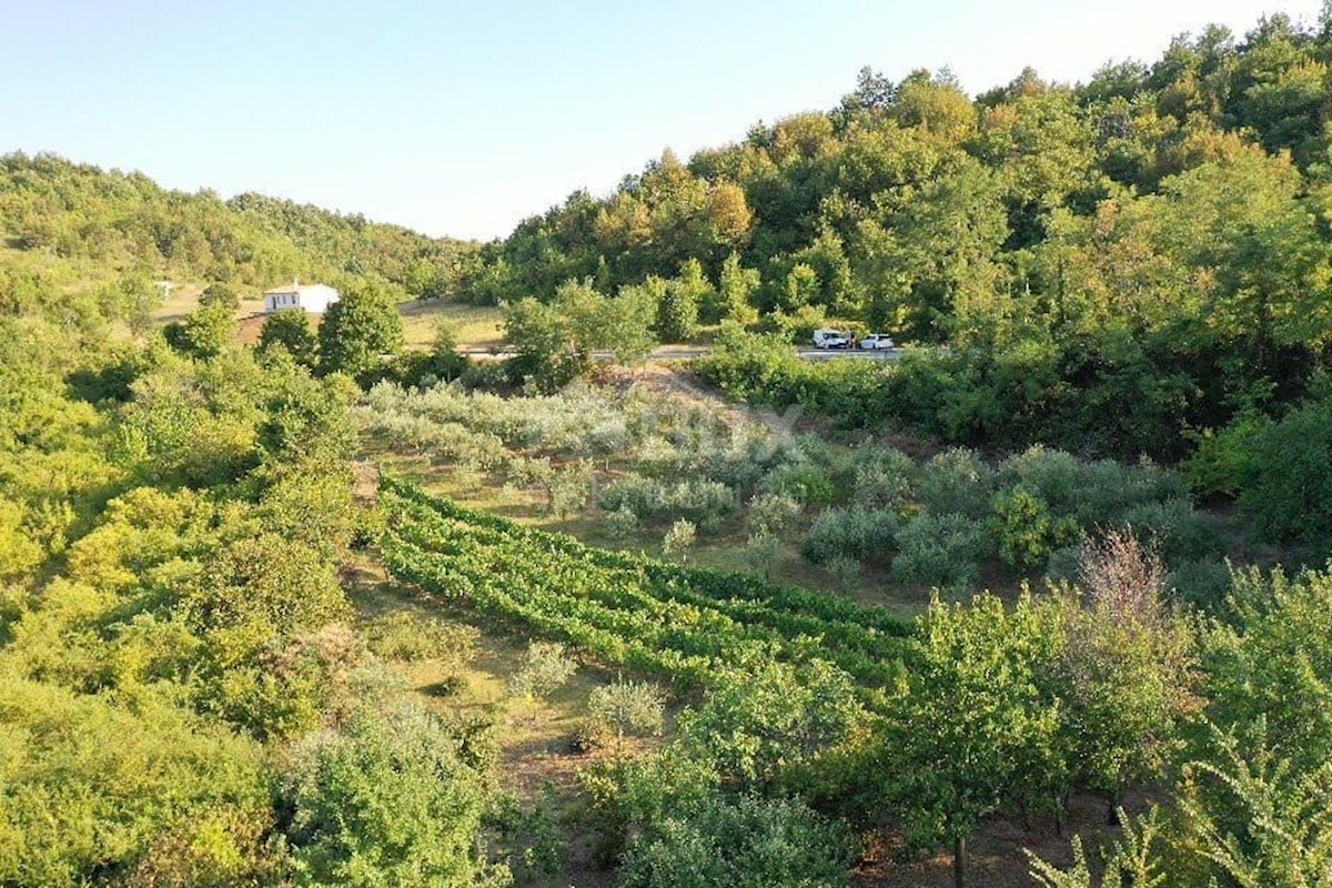 Terreno In vendita - ISTARSKA  GRAČIŠĆE 