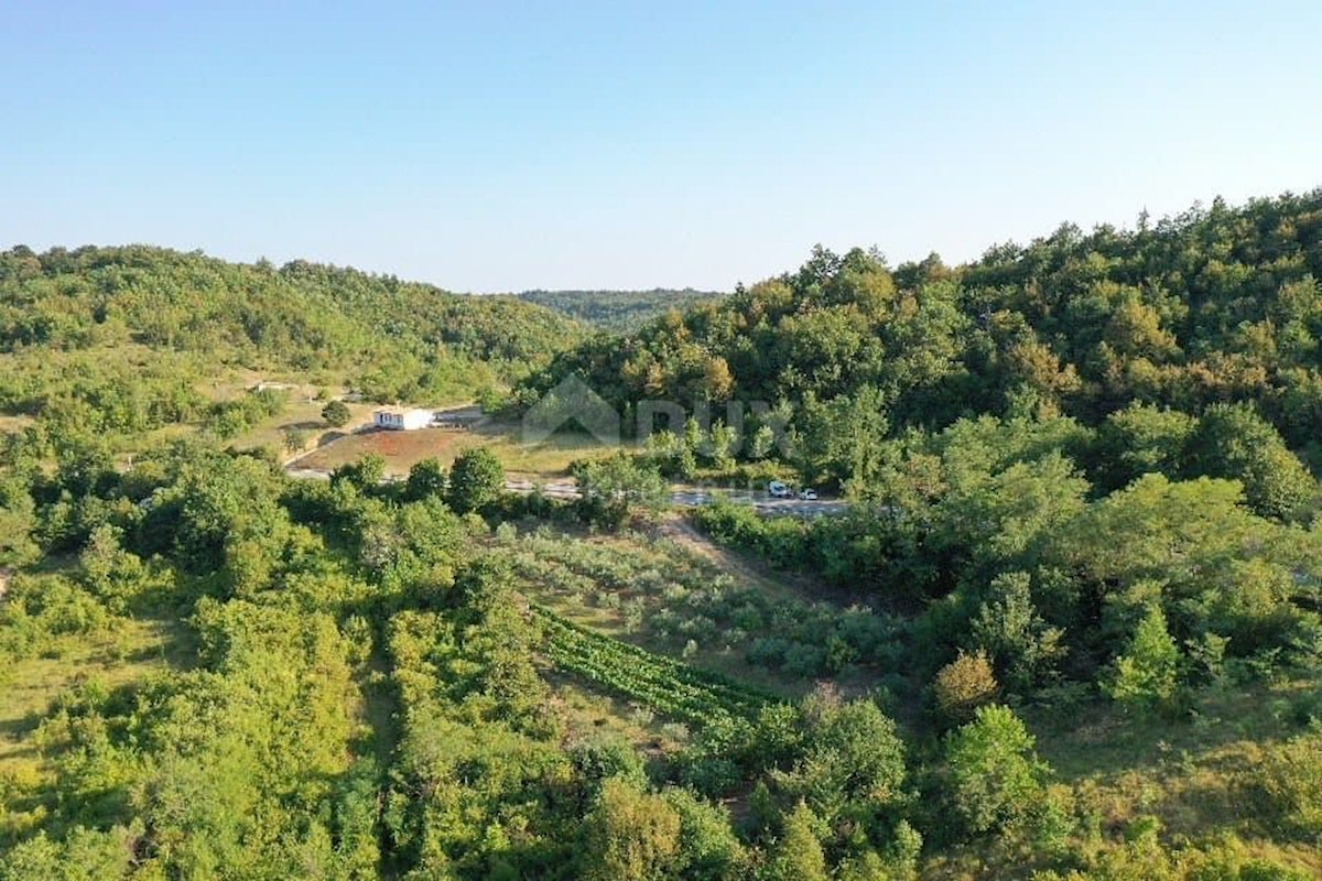 Zemljište Na prodaju - ISTARSKA  GRAČIŠĆE 