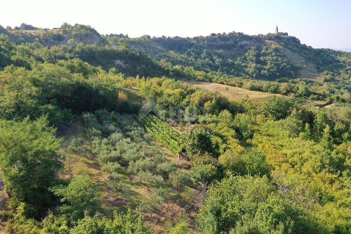 Terreno In vendita - ISTARSKA  GRAČIŠĆE 