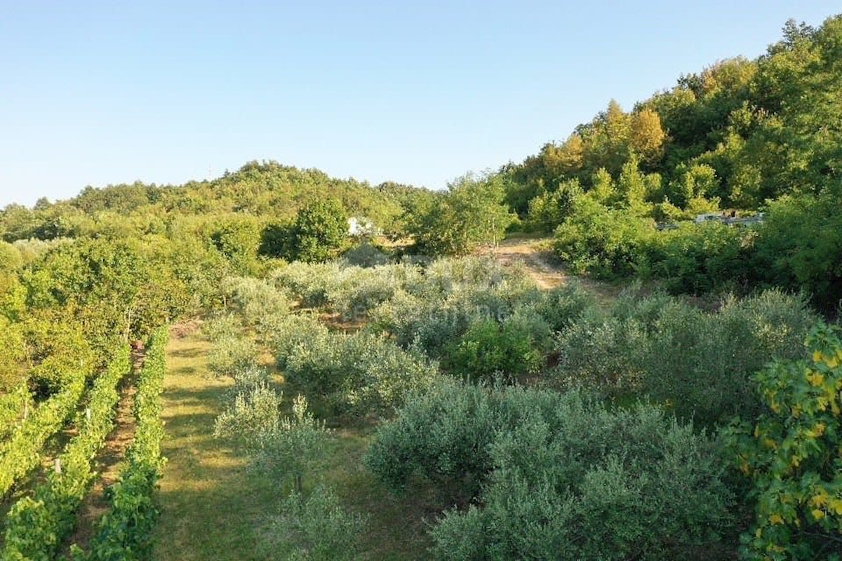 Terreno In vendita - ISTARSKA  GRAČIŠĆE 