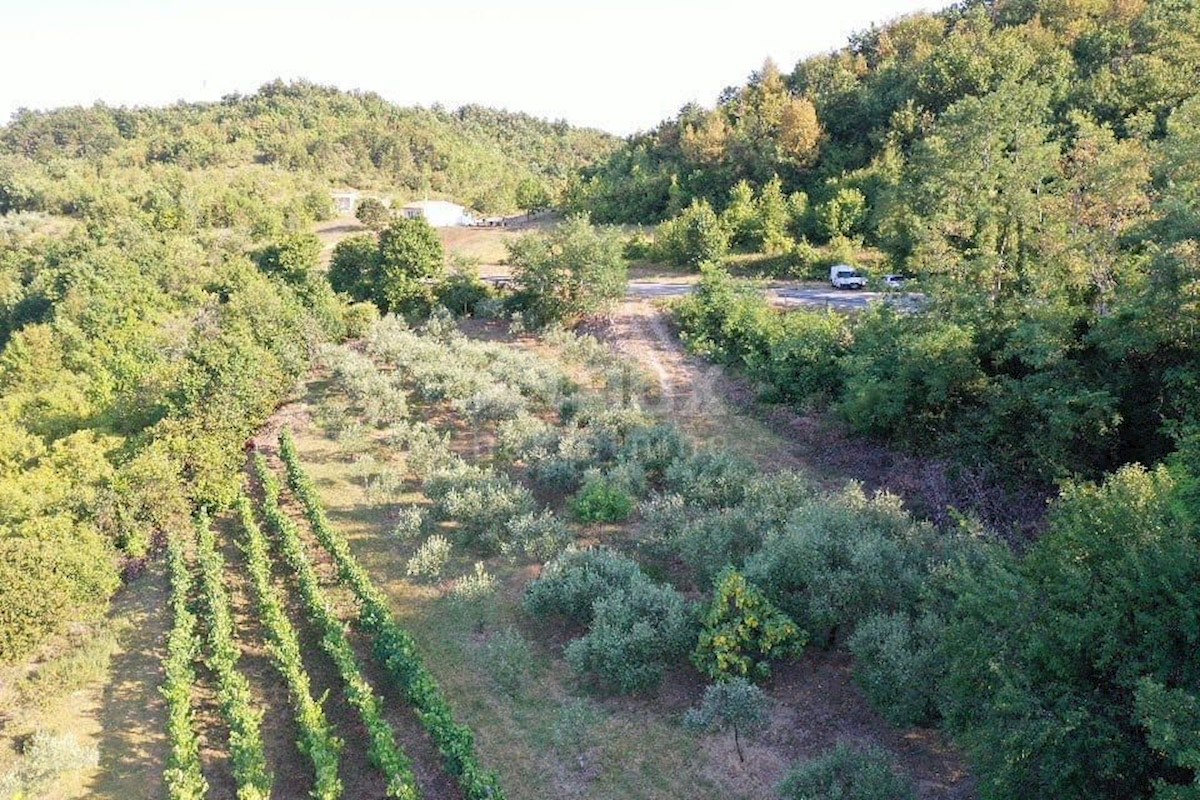 Terreno In vendita - ISTARSKA  GRAČIŠĆE 