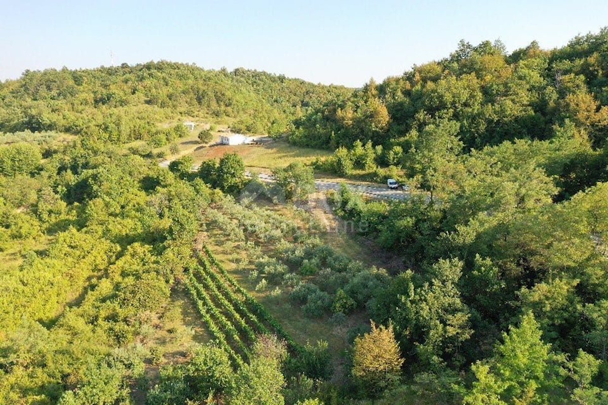 Terreno In vendita - ISTARSKA  GRAČIŠĆE 