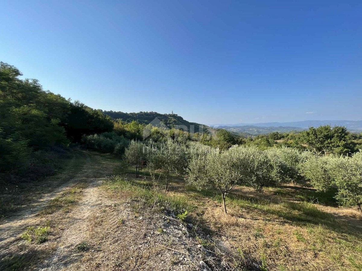 Terreno In vendita - ISTARSKA  GRAČIŠĆE 