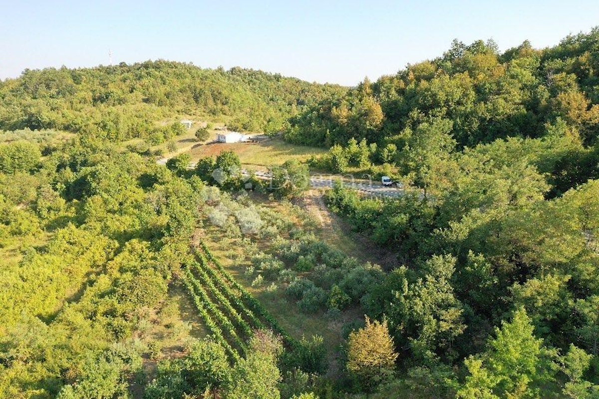 Terreno In vendita - ISTARSKA  GRAČIŠĆE 