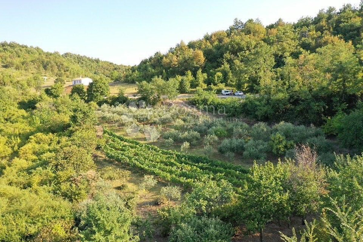 Pozemok Na predaj - ISTARSKA  GRAČIŠĆE 