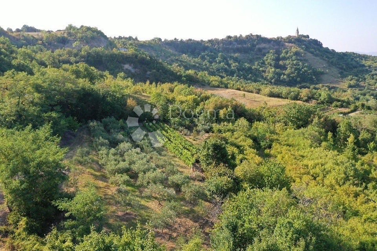 Pozemok Na predaj - ISTARSKA  GRAČIŠĆE 