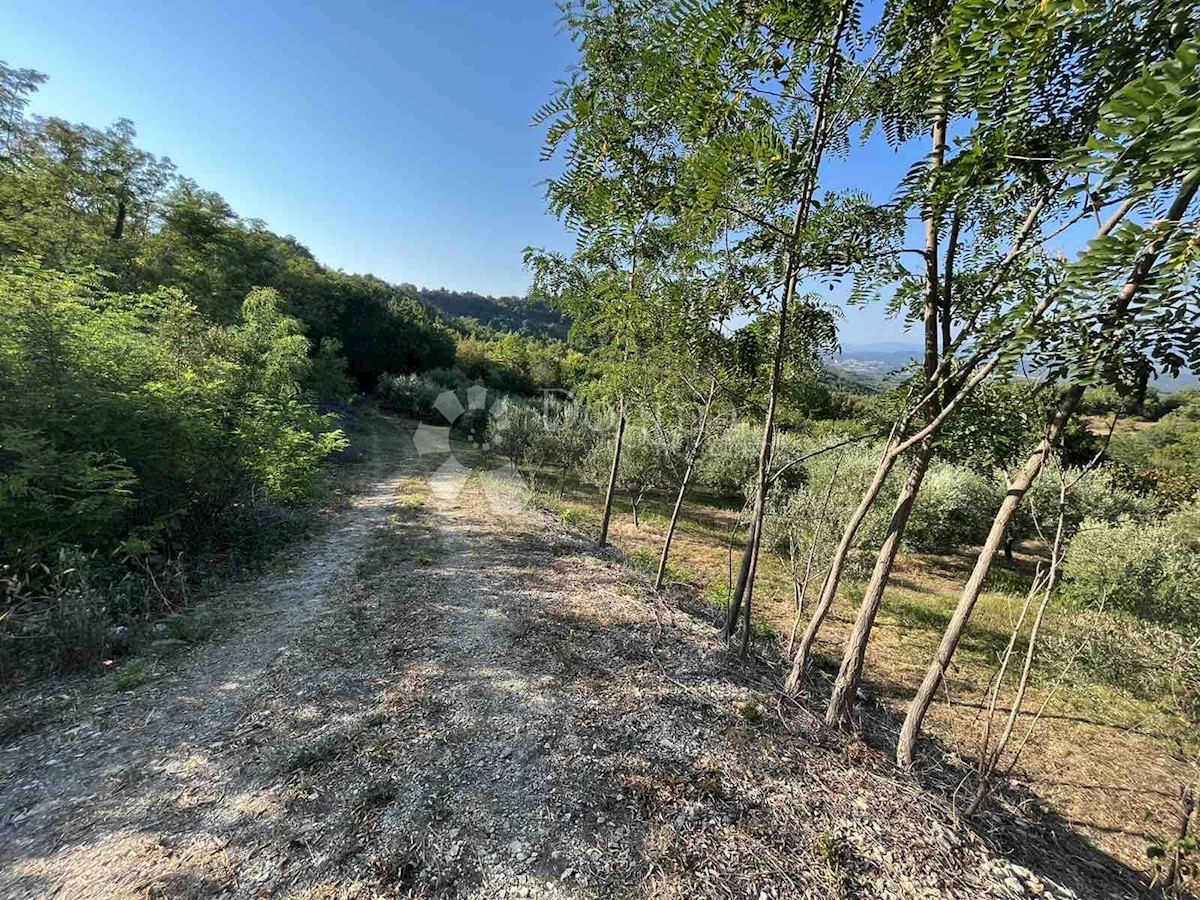 Terreno In vendita - ISTARSKA  GRAČIŠĆE 