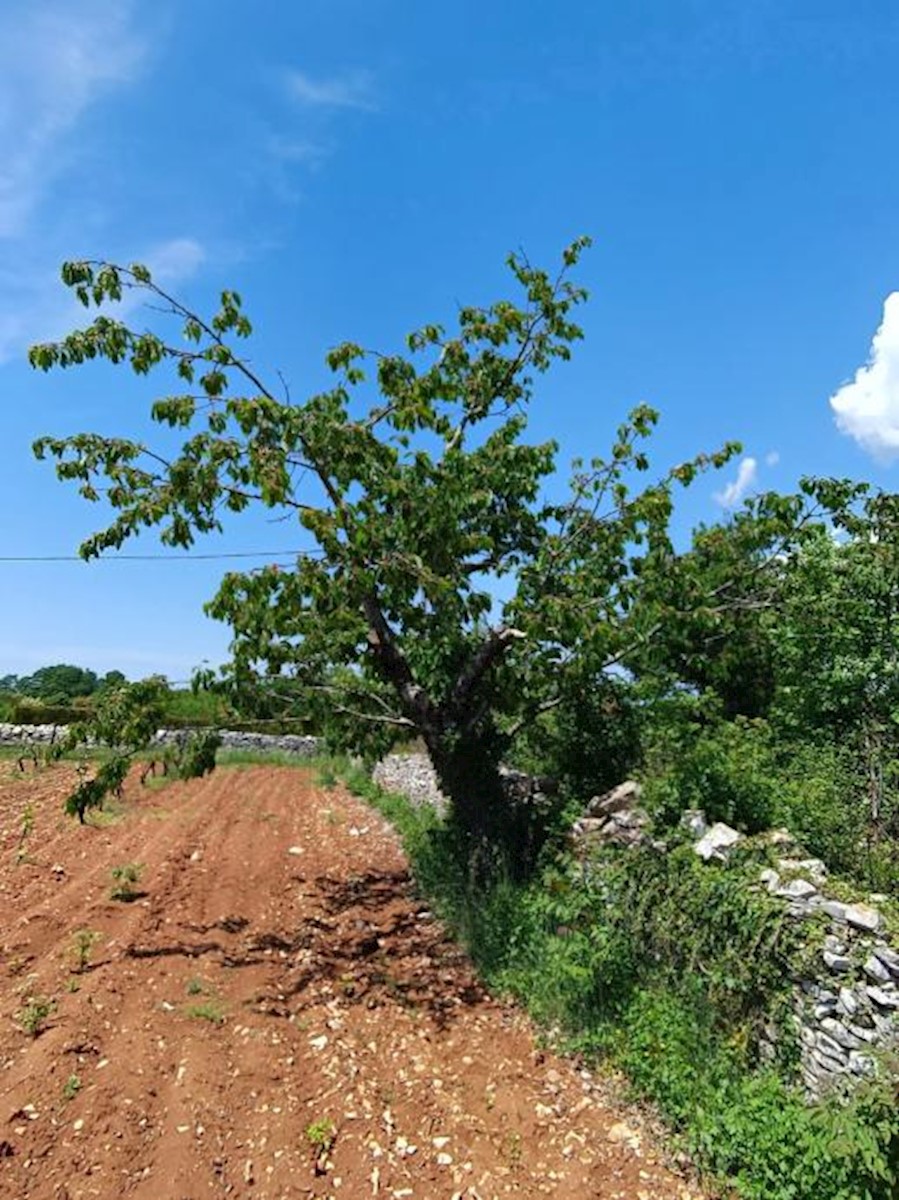 Kuća Na prodaju - ISTARSKA  SVETVINČENAT 