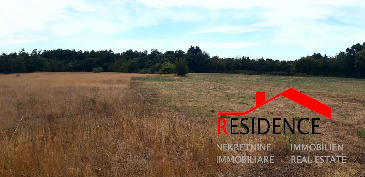 Land For sale - ISTARSKA  BARBAN 