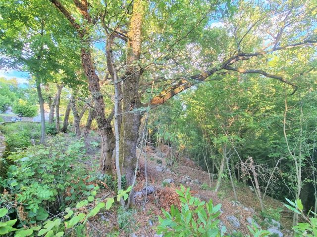 Terreno in vendita 1230 m² – Bregi