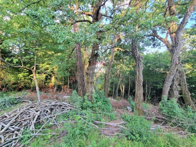 Land For sale - Primorsko-goranska Matulji - foto 4/4