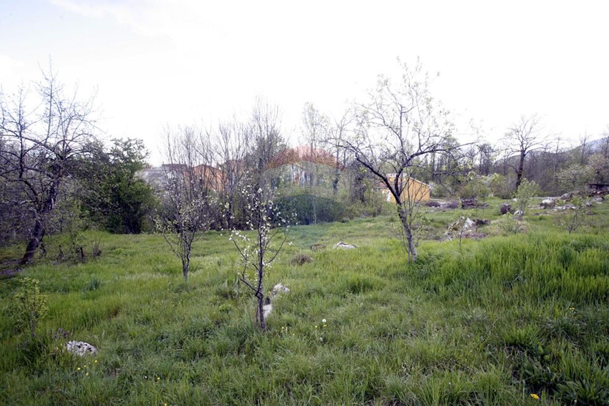 Land For sale MUČIĆI