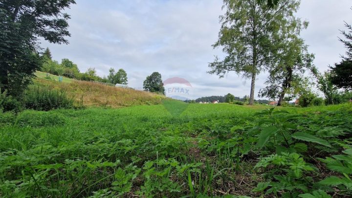 Działka Na sprzedaż - Primorsko-goranska Ravna Gora - foto 3/4