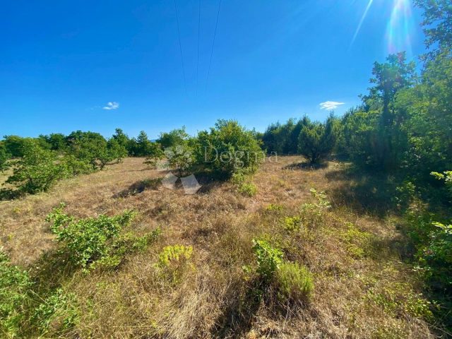 Land for sale 4648 m² – Labin