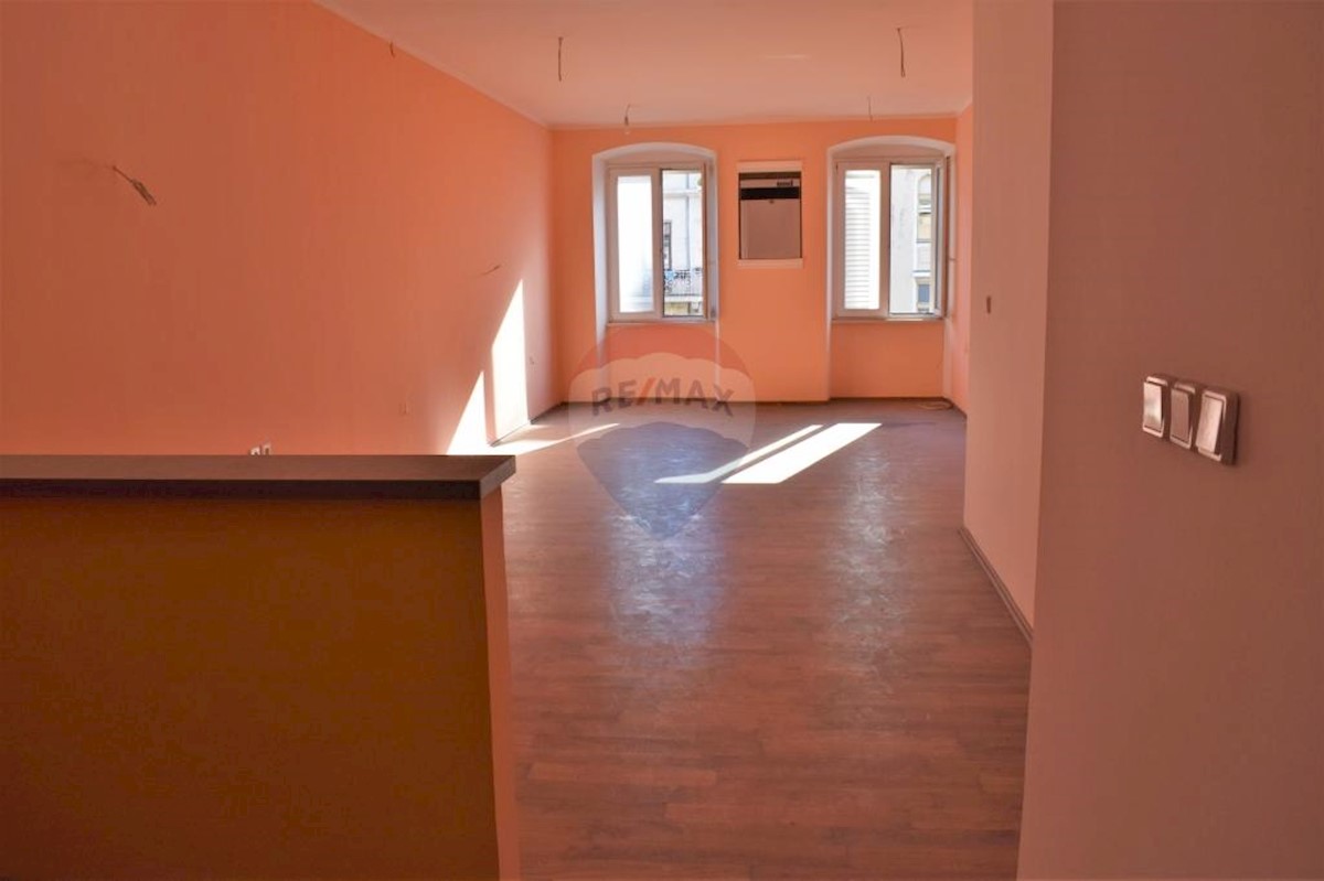 Flat For rent - PRIMORSKO-GORANSKA  RIJEKA 