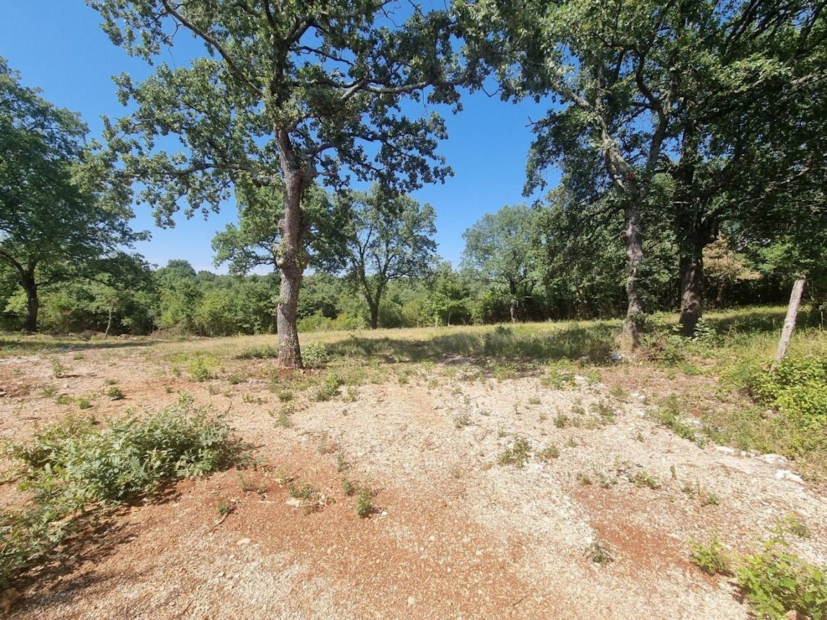 Terreno In vendita - ISTARSKA  SVETI LOVREČ 