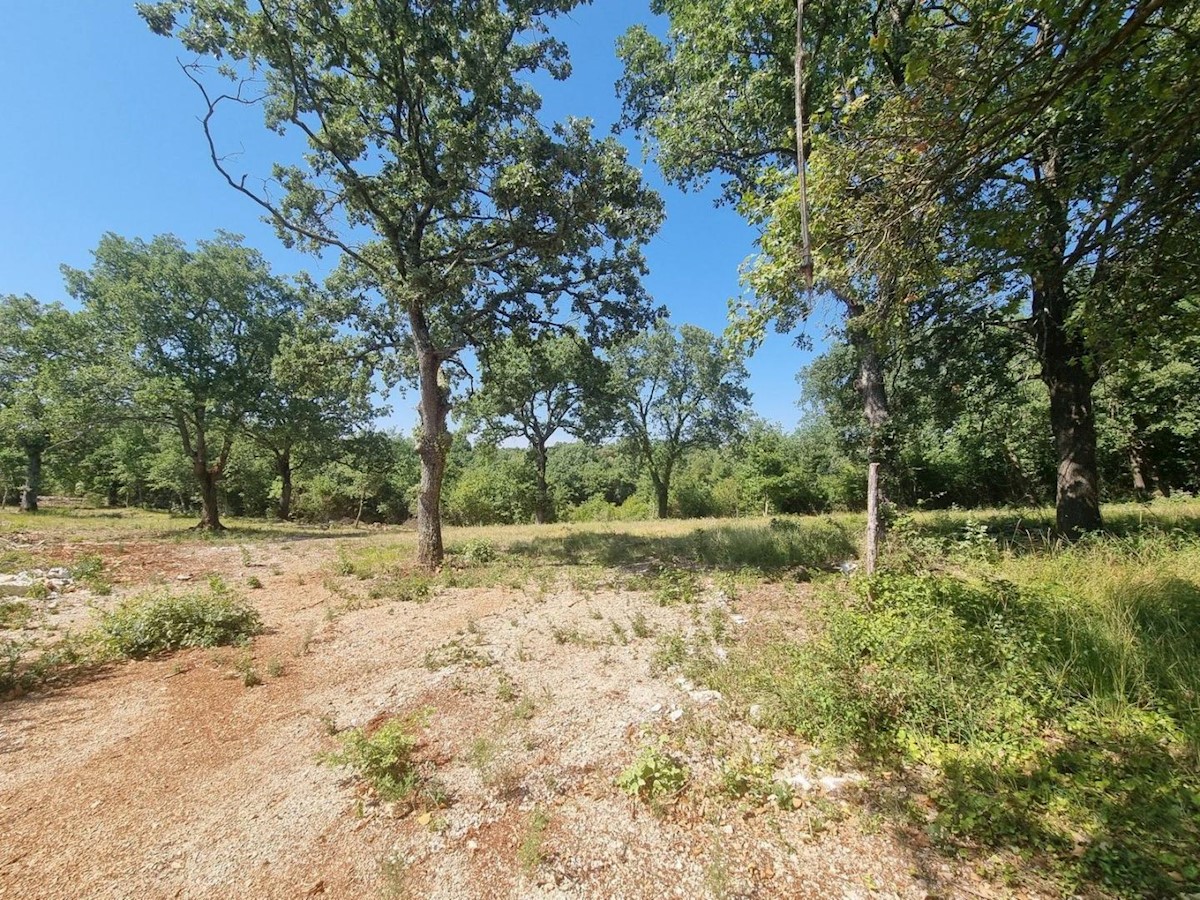 Land For sale - ISTARSKA  SVETI LOVREČ 