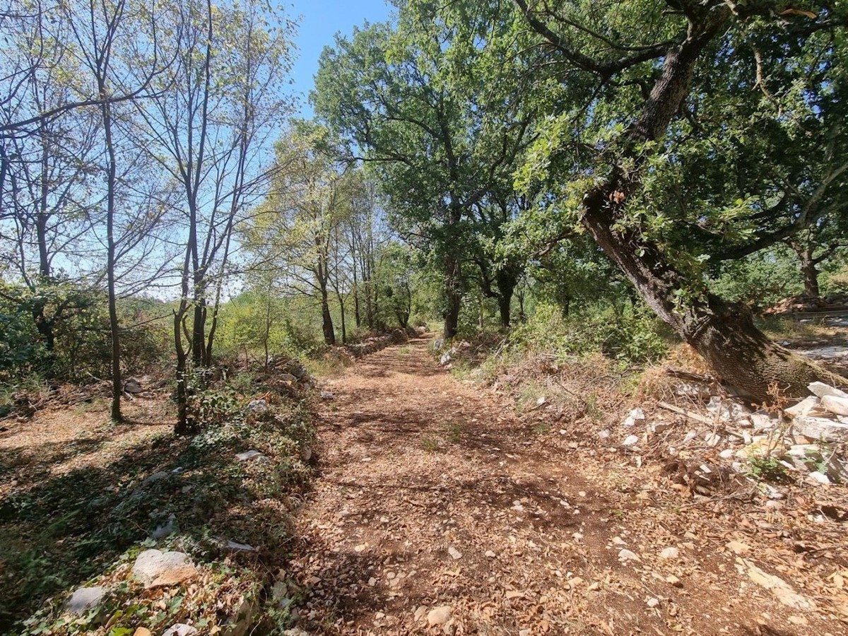 Parcela Naprodaj - ISTARSKA  Sveti Lovreč