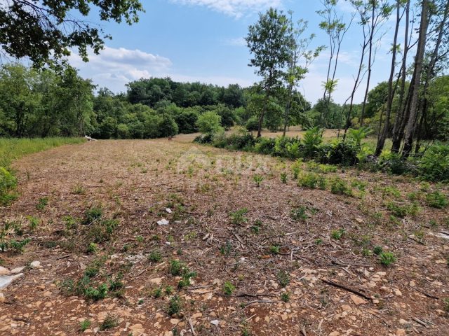Terrain à vendre 5459 m² – Tinjan