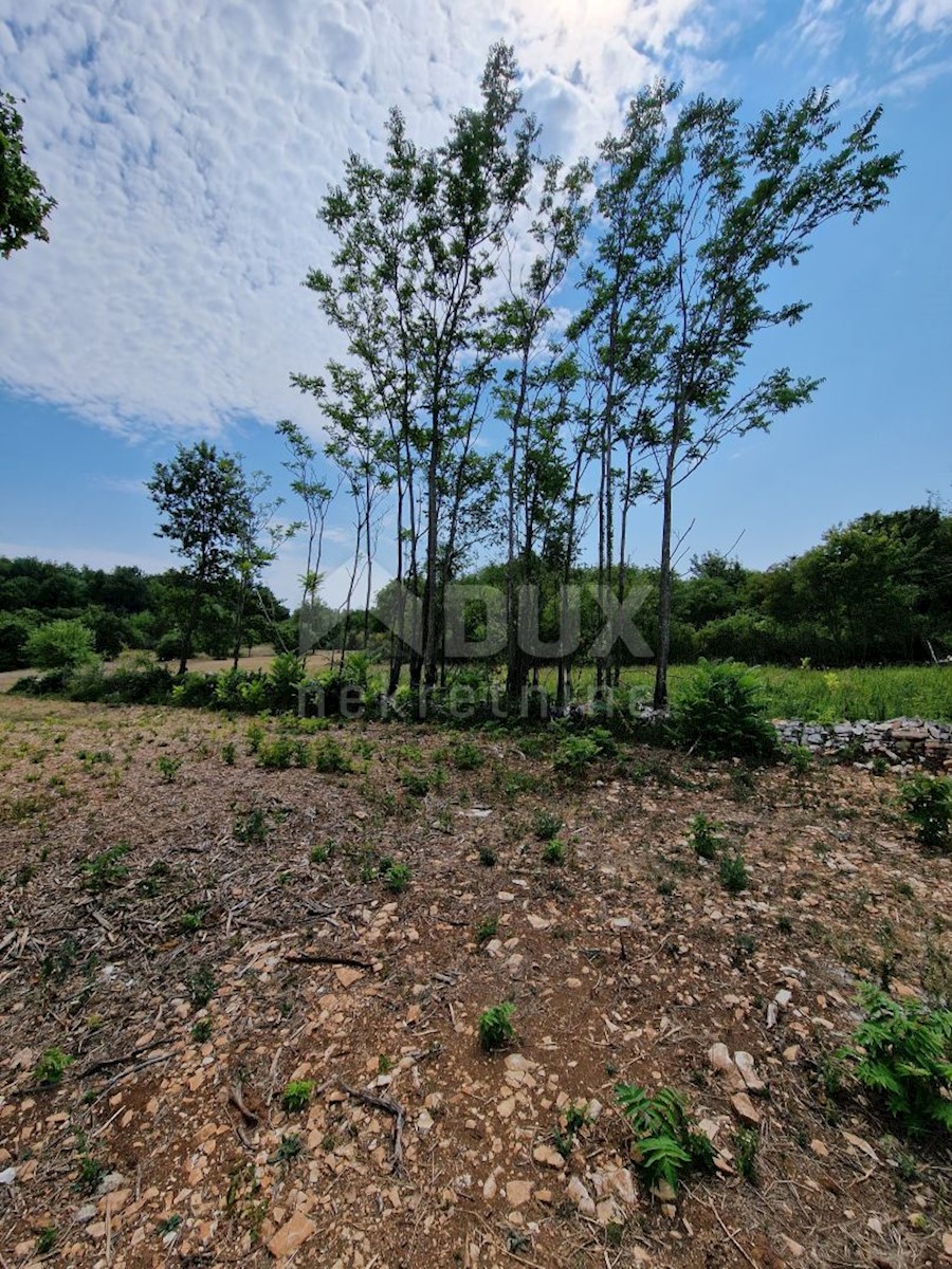 Terreno In vendita - ISTARSKA  Tinjan