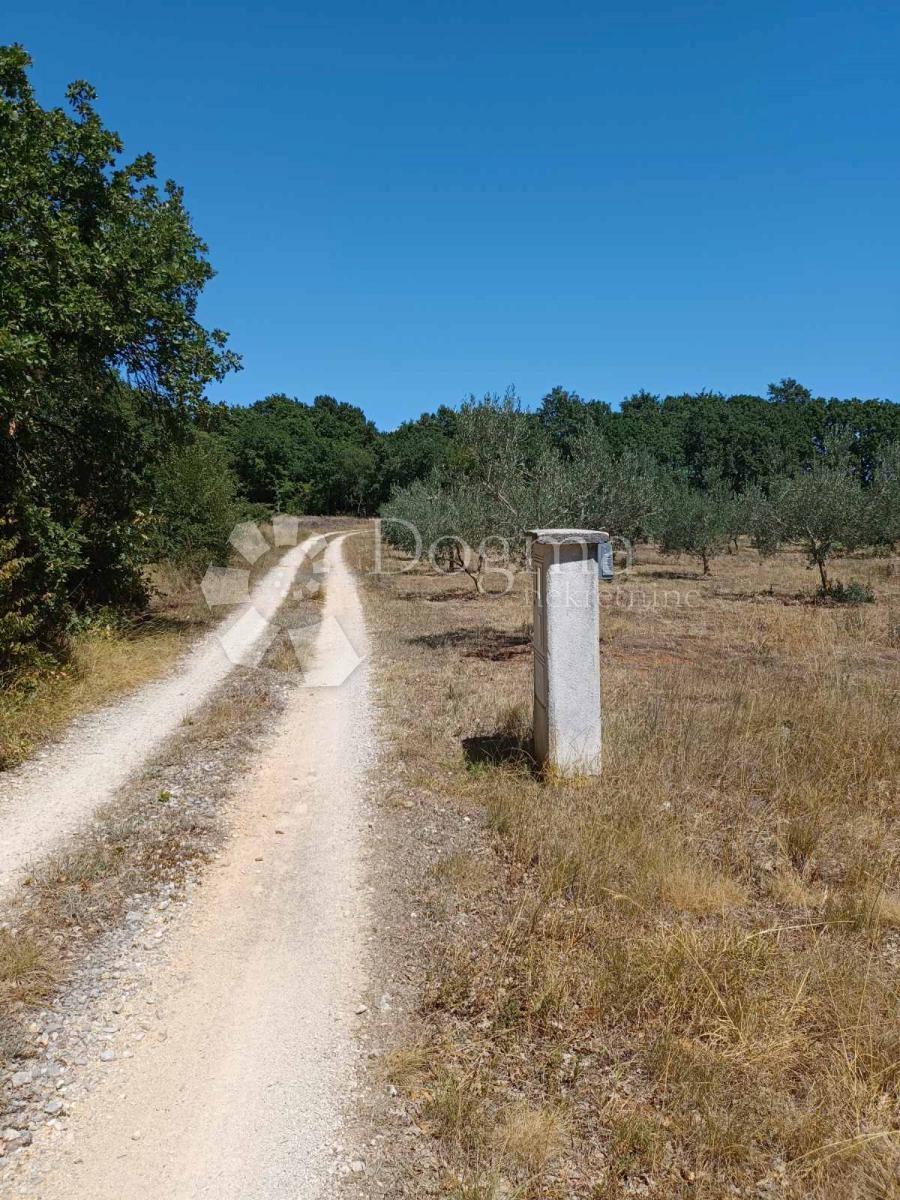 Hiša Na predaj - ISTARSKA  LIŽNJAN 