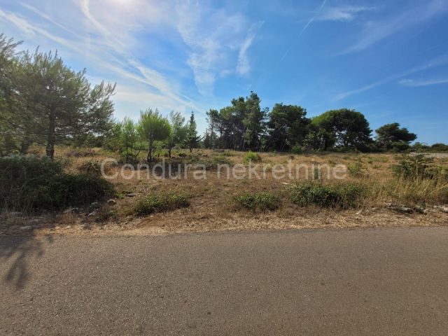Terrain À vendre - Zadarska Vir - foto 2/3