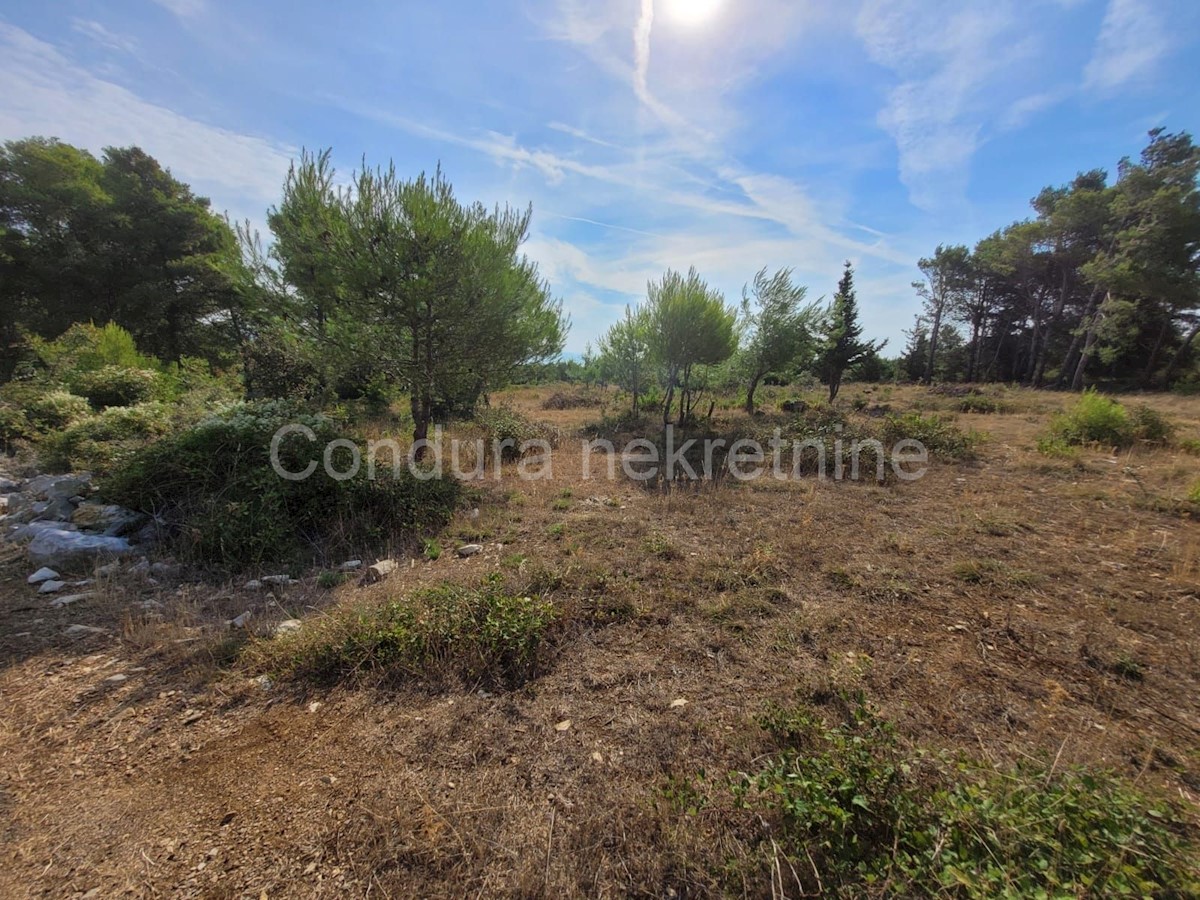 Terrain À vendre - ZADARSKA  Vir