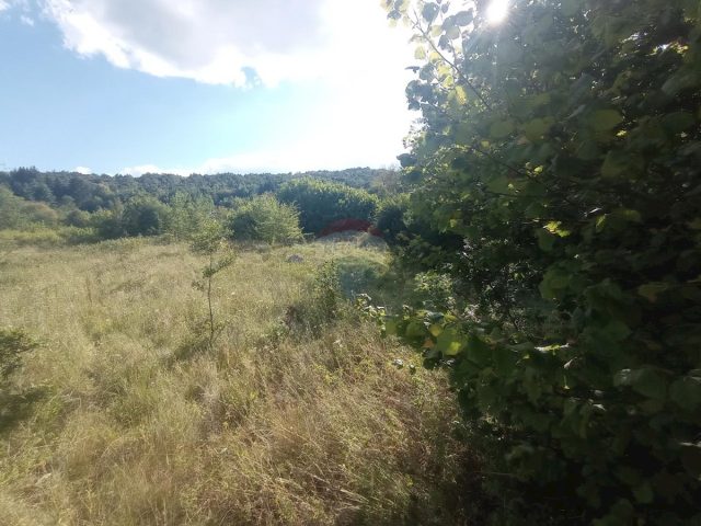 Terrain À vendre - Karlovačka Tounj - foto 3/5