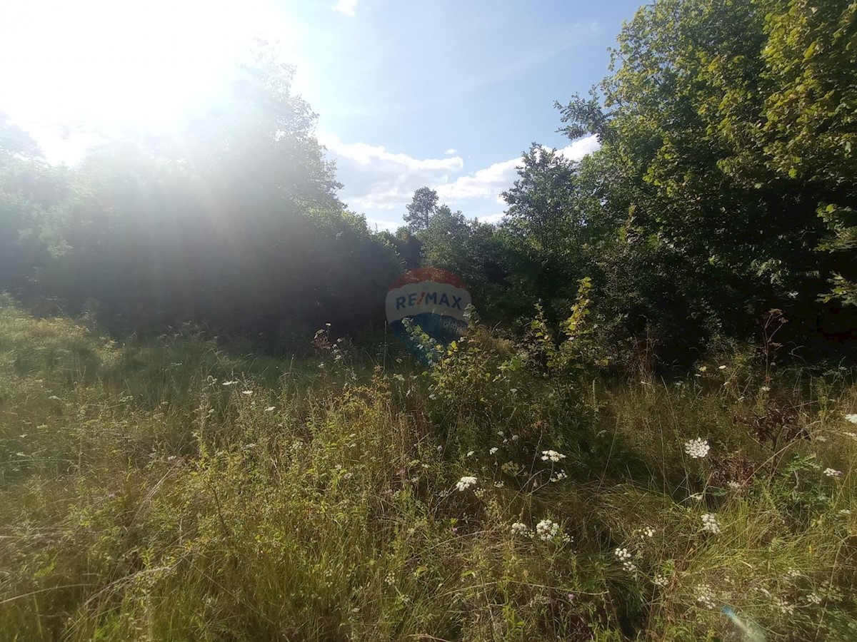 Land For sale - KARLOVAČKA  TOUNJ 