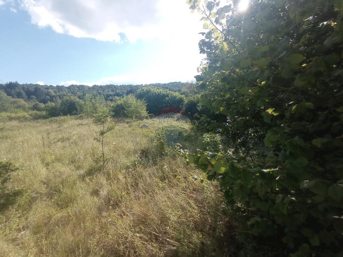 Land For sale - KARLOVAČKA  TOUNJ 