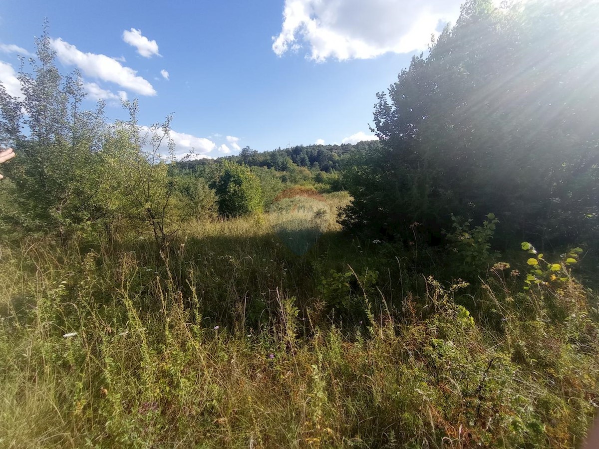 Land For sale - KARLOVAČKA  TOUNJ 