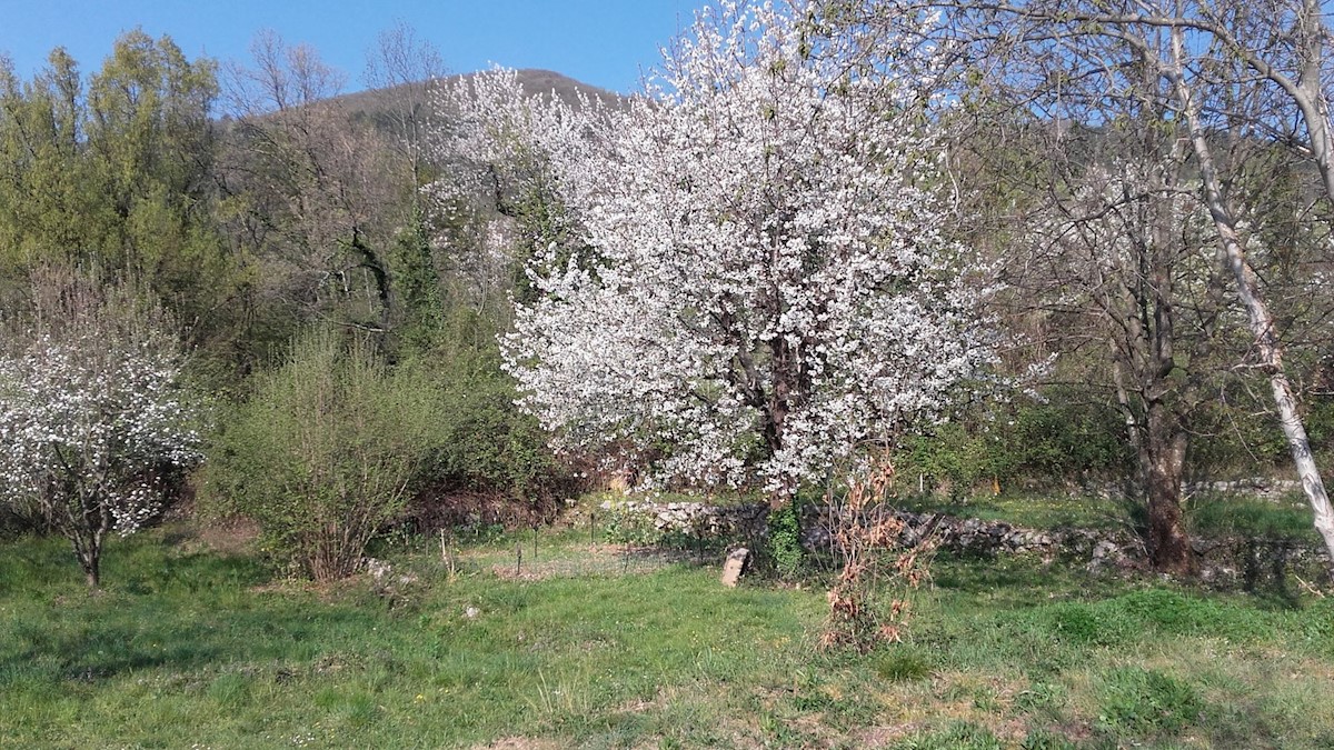 Land For sale - Primorsko-goranska Mošćenička Draga - foto 1/1