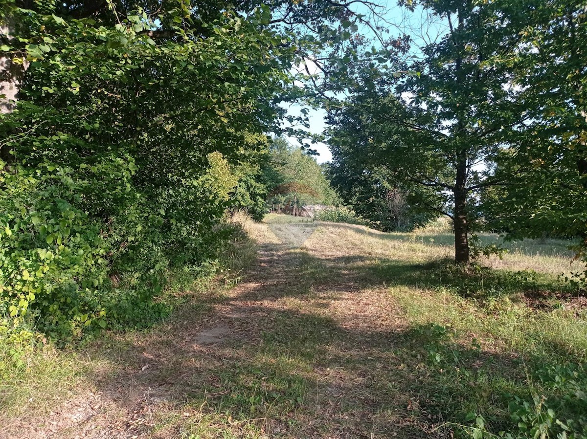 Terreno In vendita - KARLOVAČKA  OGULIN 