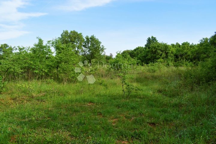 Terrain à vendre 29000 m² – Bale