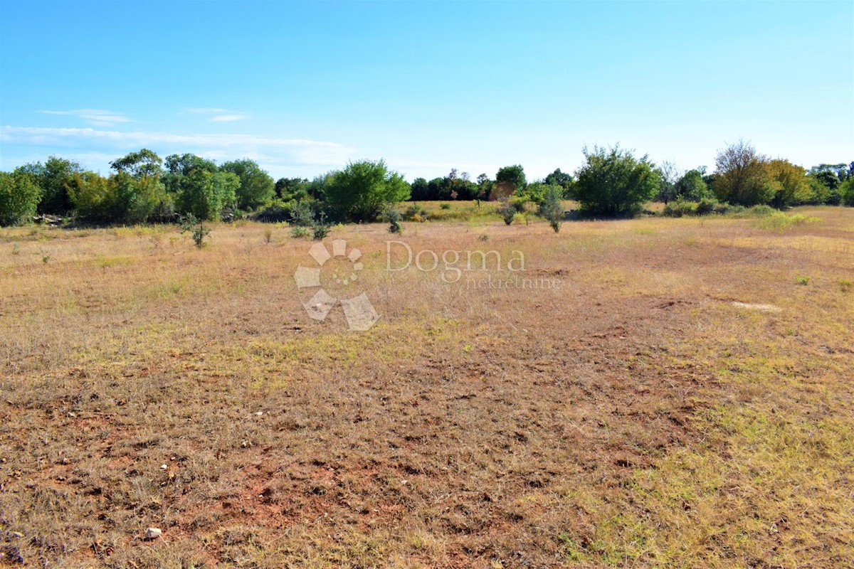 Land For sale - ISTARSKA  BALE 