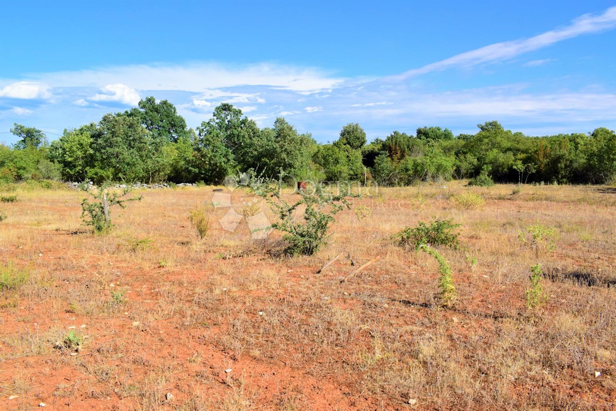 Land For sale - ISTARSKA  BALE 