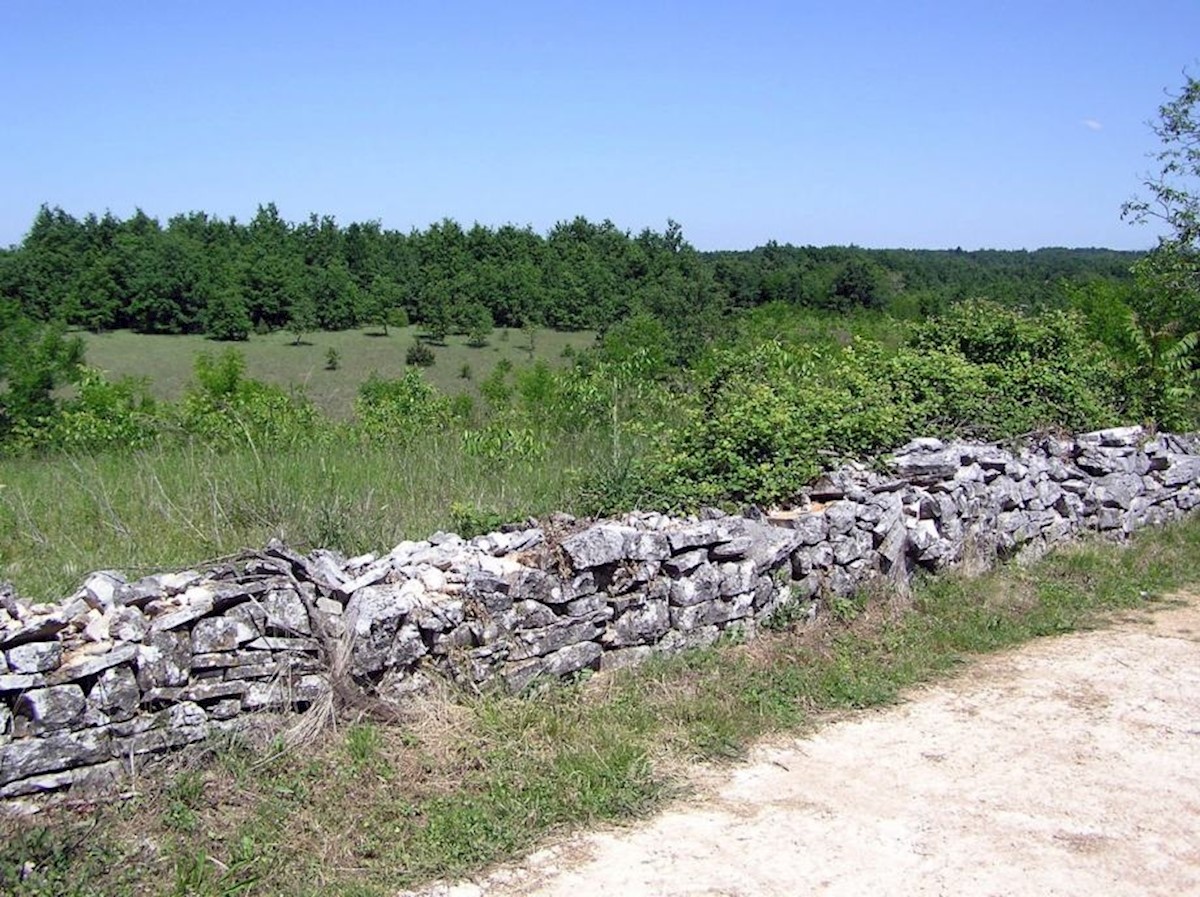 Terreno In vendita - ISTARSKA ŽMINJ