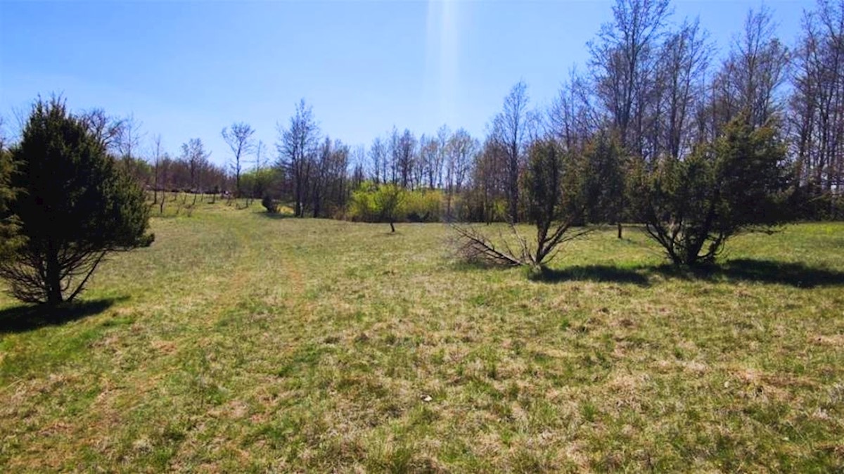 Terreno In vendita - ISTARSKA ŽMINJ