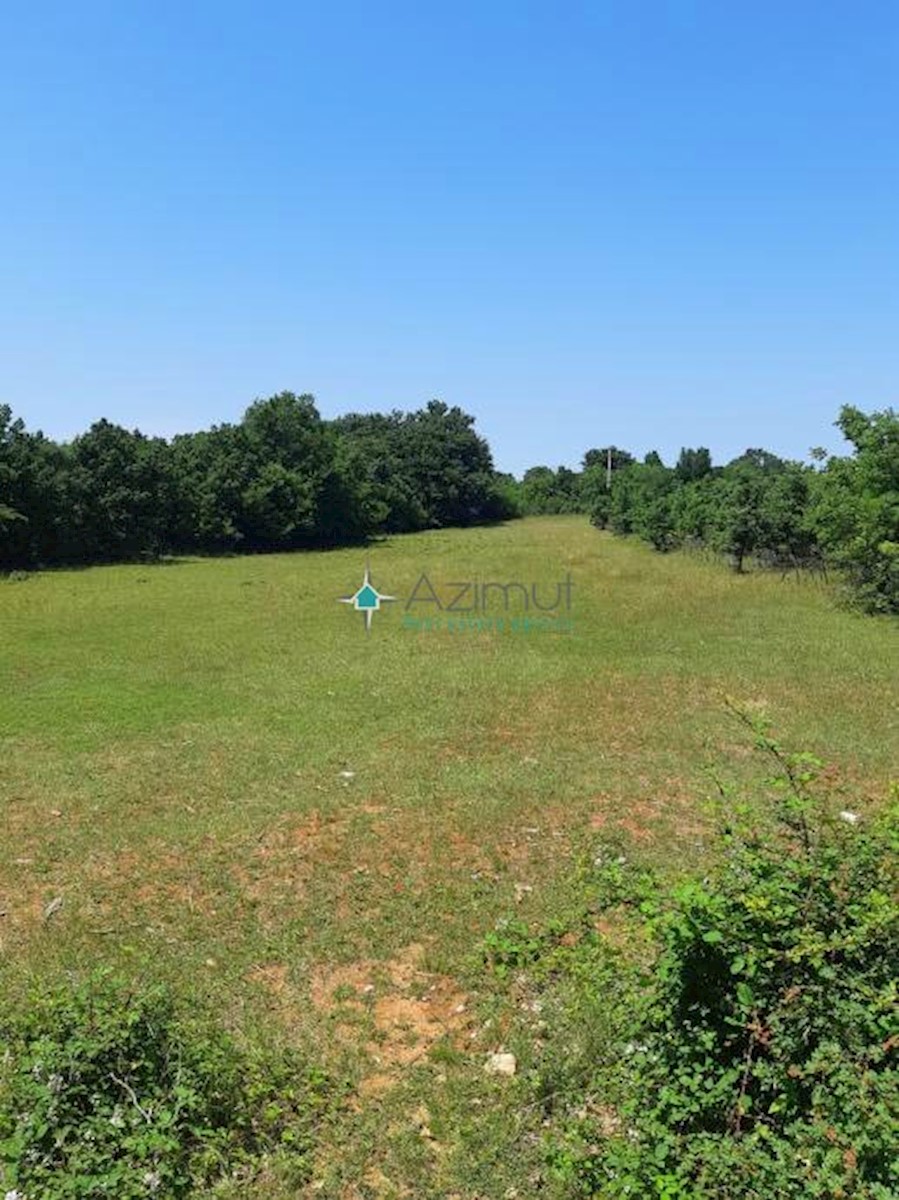 Land For sale - ISTARSKA  OPRTALJ 