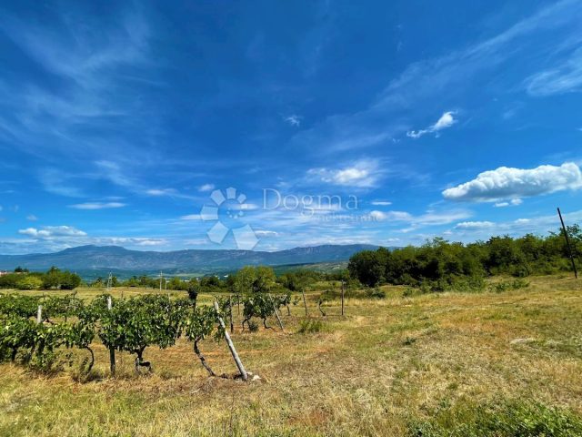 Land For sale - Istarska Pićan - foto 2/6