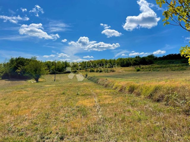 Land For sale - Istarska Pićan - foto 5/6