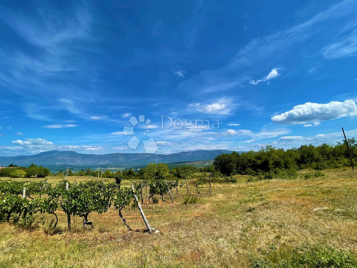 Zemljište Na prodaju - ISTARSKA  PIĆAN 